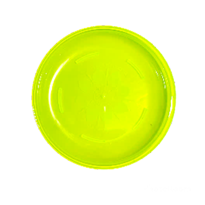 PLATO SOPERO ARROCERO CLARIFICADO COLORES